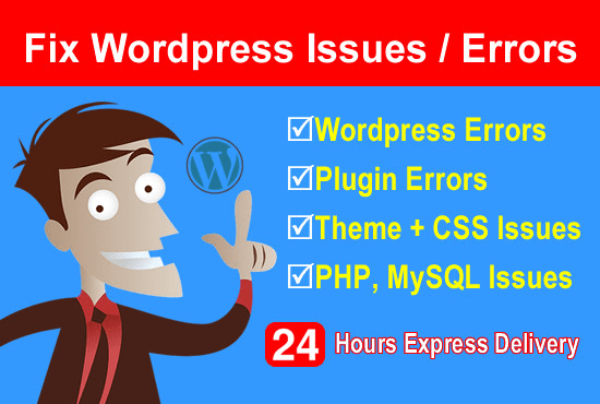 I will solve or fix wordpress issues, errors and do customization.