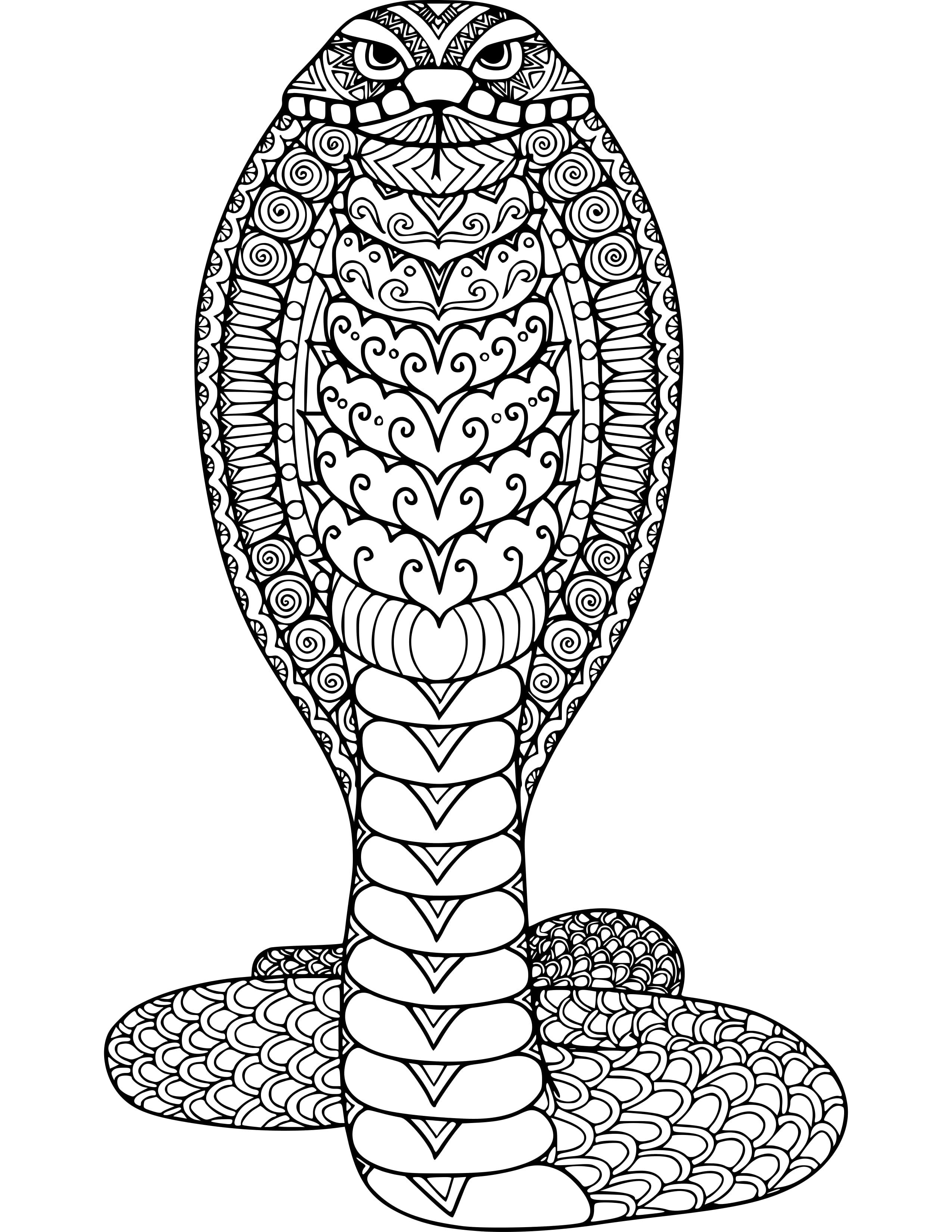 60 Animal Coloring Pages for Adults with Resell Right