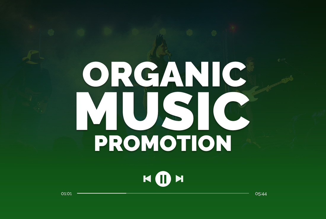 I will do organic spottiify music promotion (All Natural)