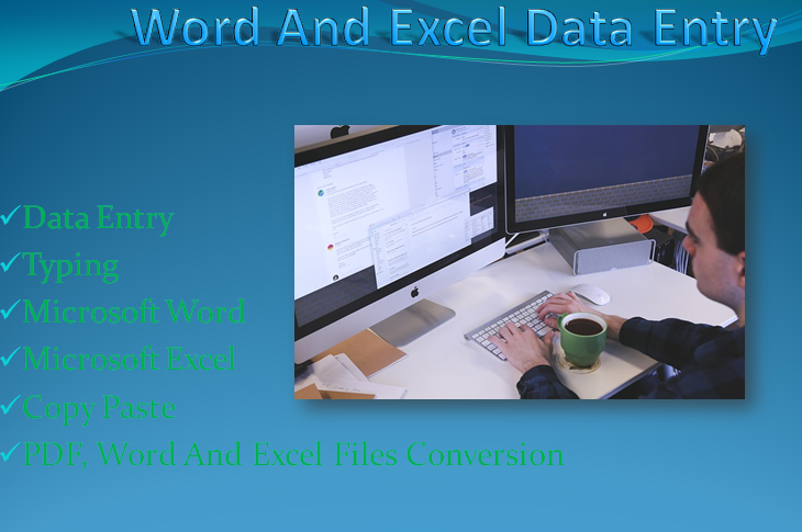 I will do an expert and a proficient data entry work