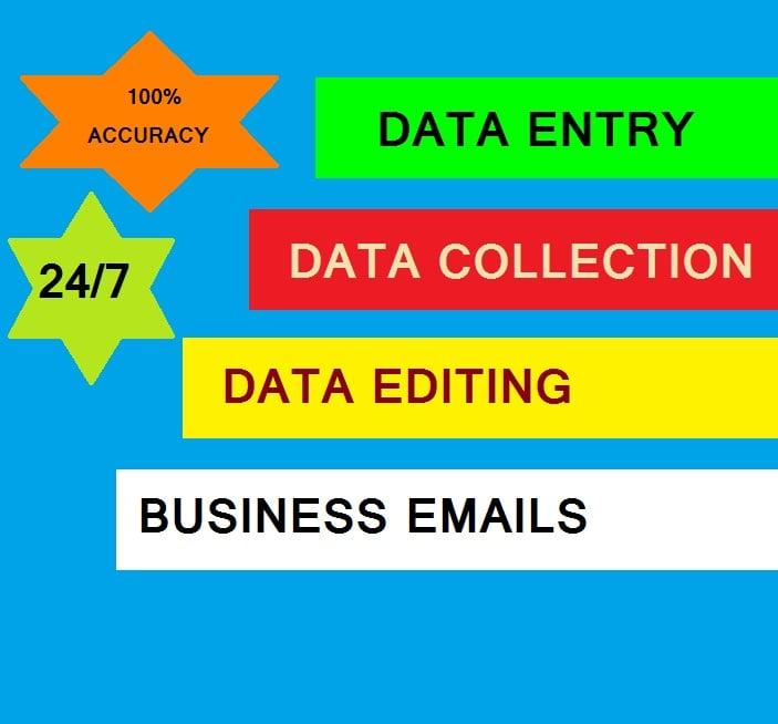 BEST QUALITY, NO MISTAKES. FULFILL YOUR DATA ENTRY REQUIRMENT WITH JUST ONE CLICK. 