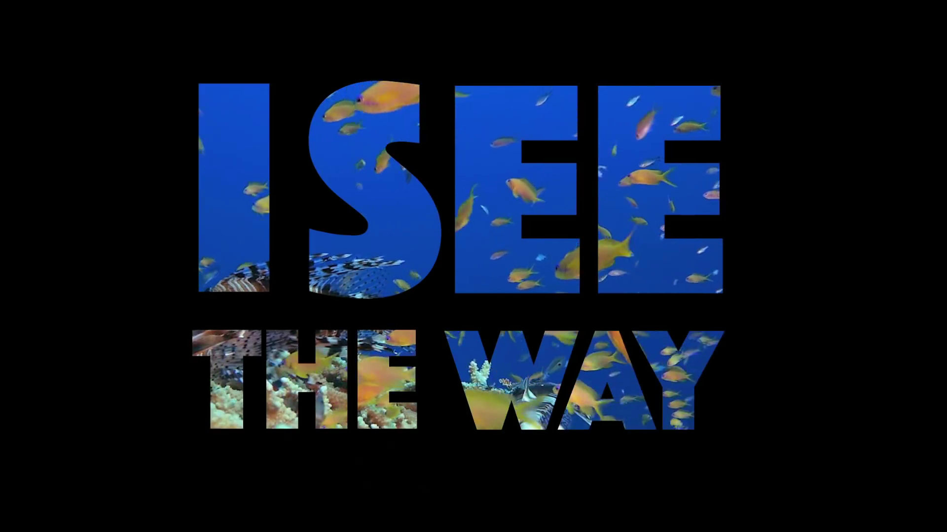 create a professional animate lyrics video