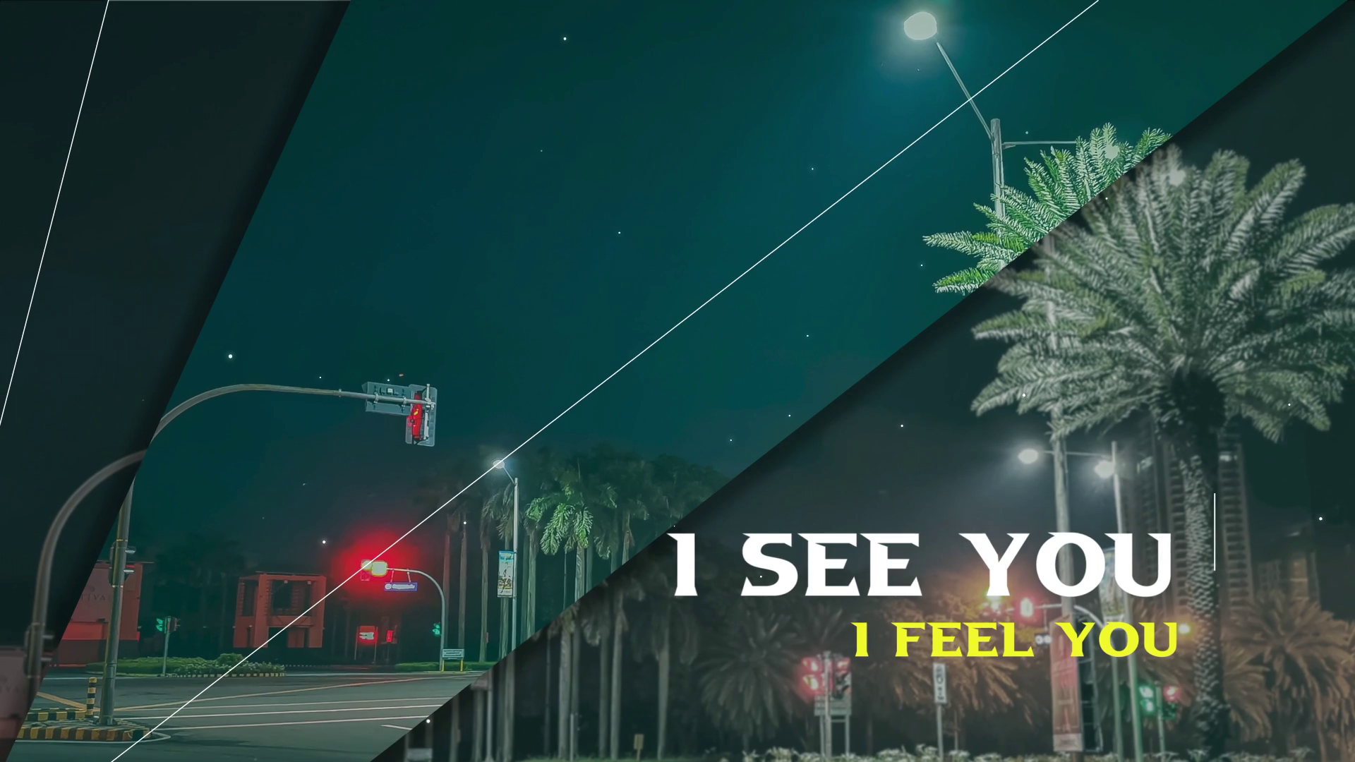 create a professional animate lyrics video