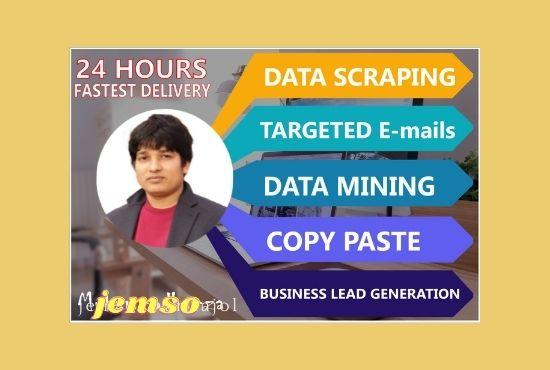 do the permanent data entry data mining data scraping copy paste job 