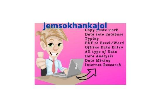 do the permanent data entry data mining data scraping copy paste job 