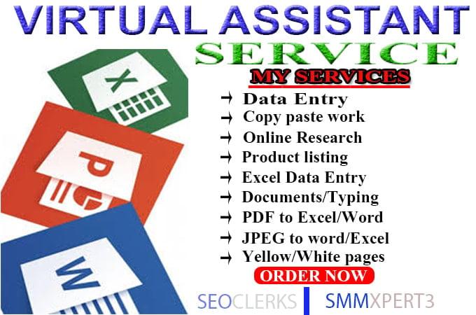 permanent do data entry web research copy paste word and excel data scraping data entry 
