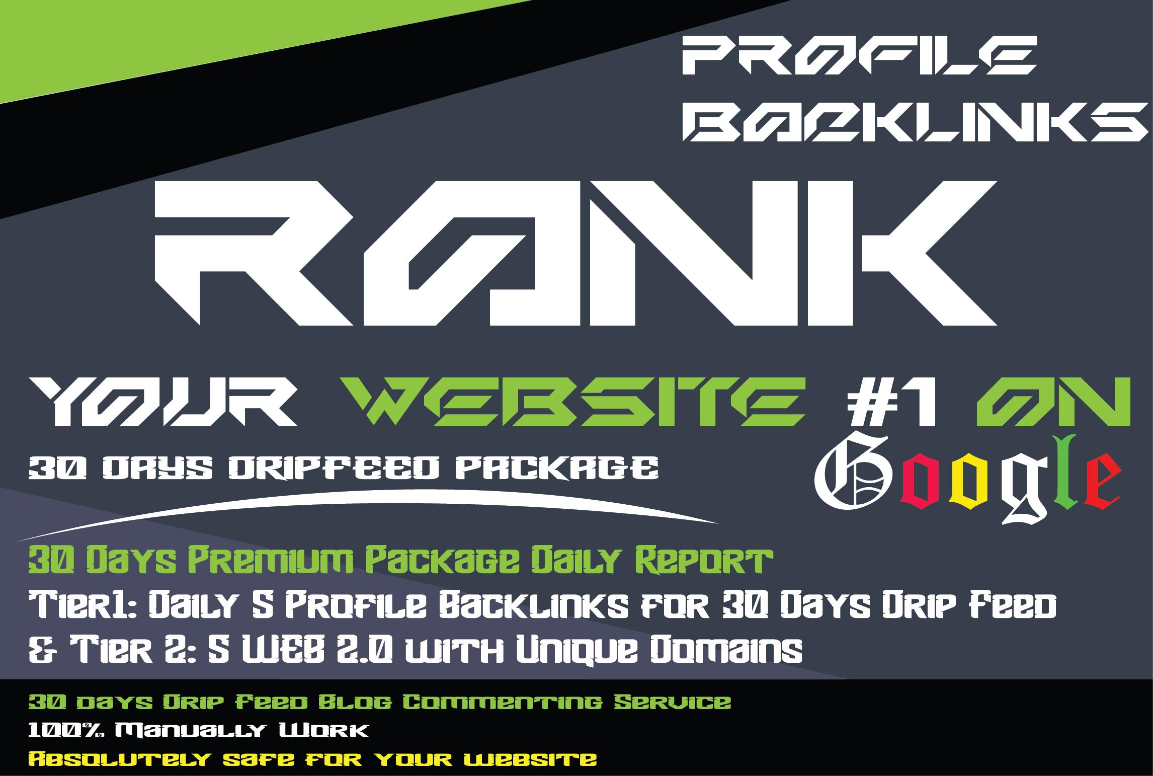 30 days drip feed seo link building Profile Backlinks service