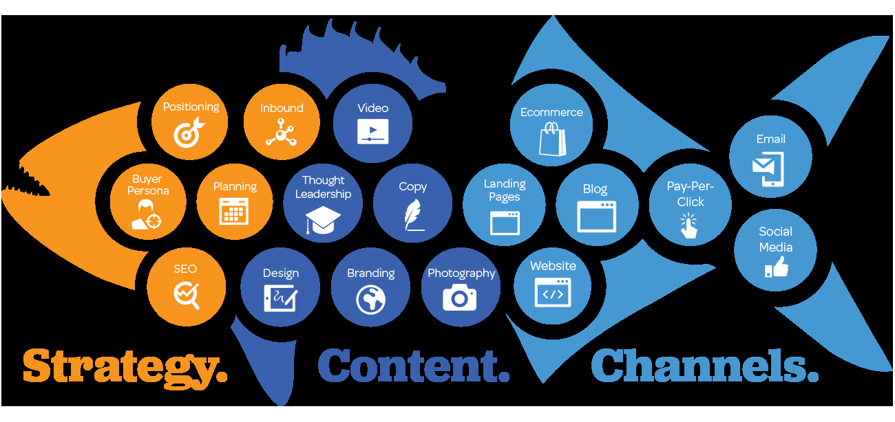 OUR EXPERT MARKETERS WILL PROMOTE YOUR WEBSITE FOR 1 YEAR