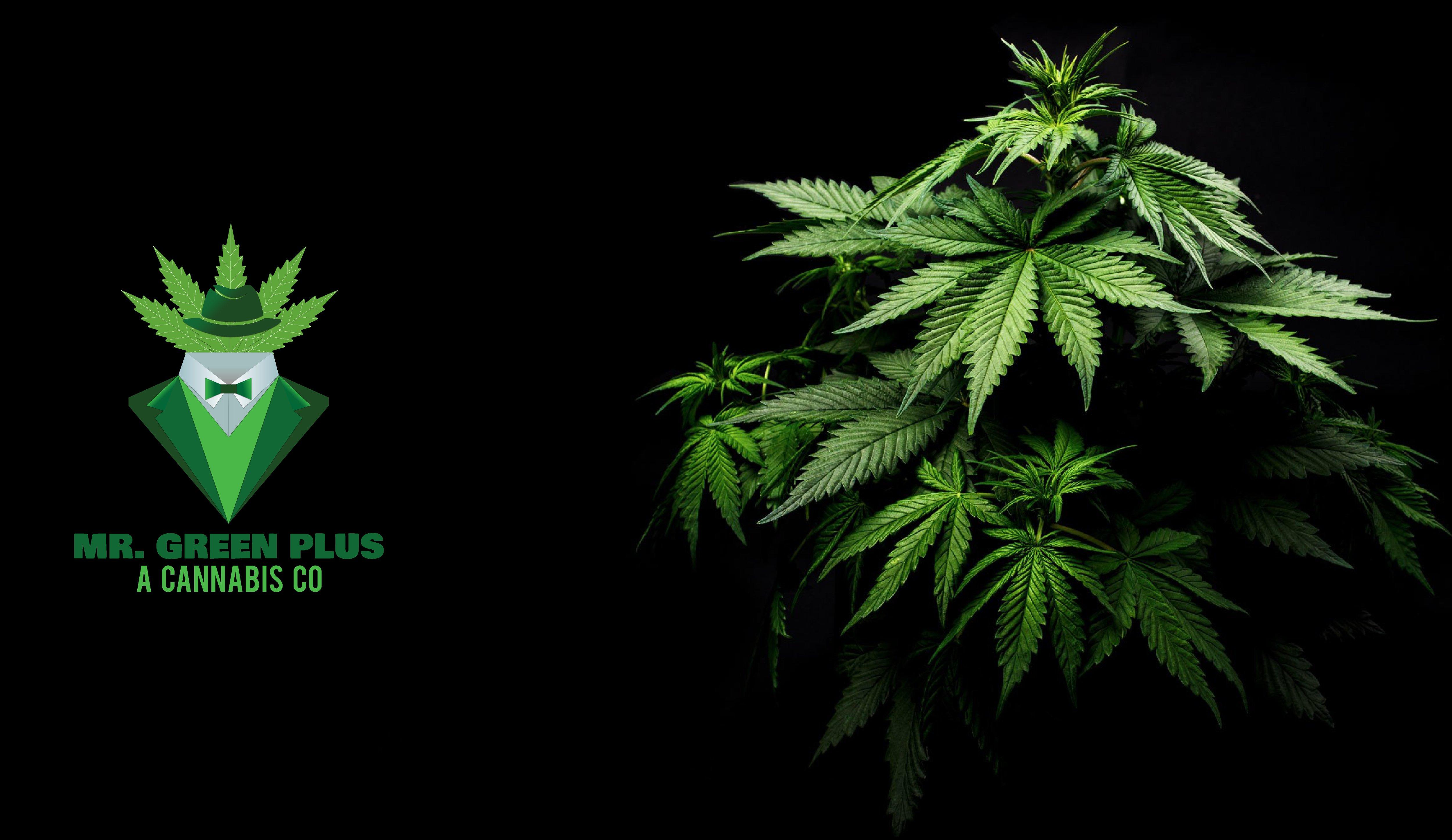 We Will Design Creative Minimalist or Modern logo for Your Business