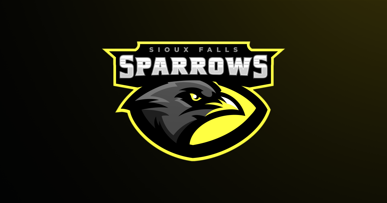 Design an Awsome E-Sports Mascot Logo