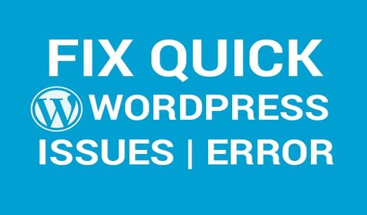 I will fix any wordpress error or issues