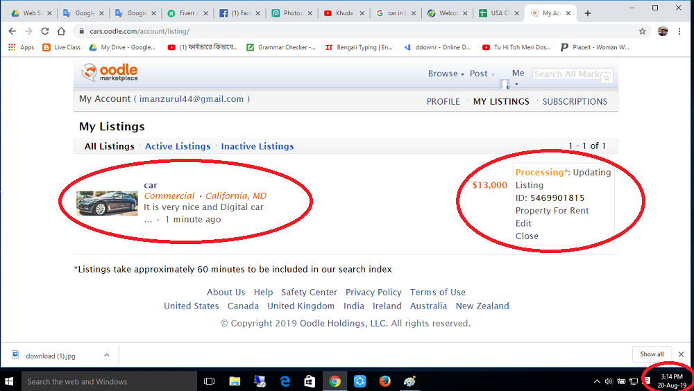 Search Engine Optimization Professional