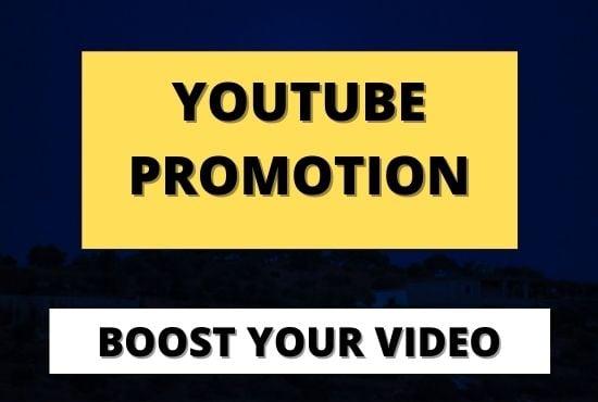 I will Do professional organic your youtube video promotion