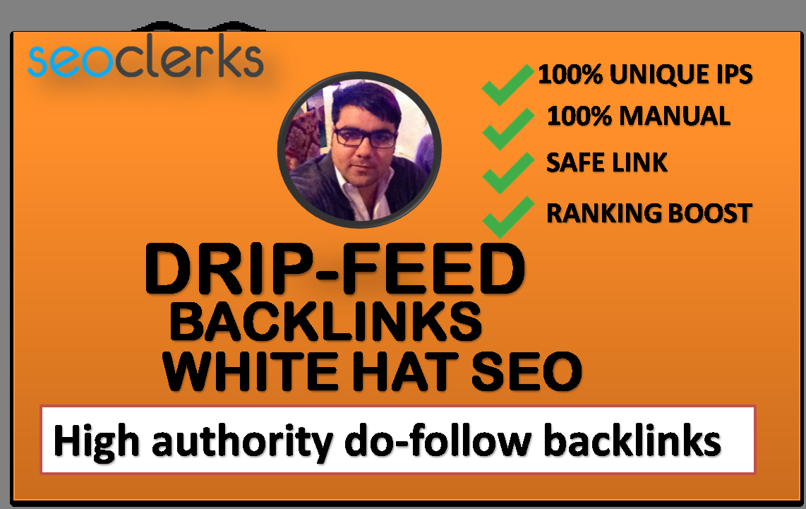 I will build high quality Drip Feed Backlinks White Hat seo 