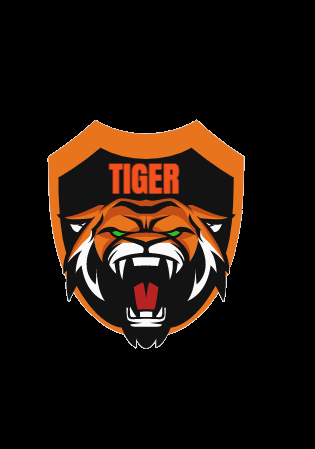 Professional Logo design for you