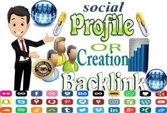 Manually Create 55 Social Profiles Set Up or Profile Creation for boost your business