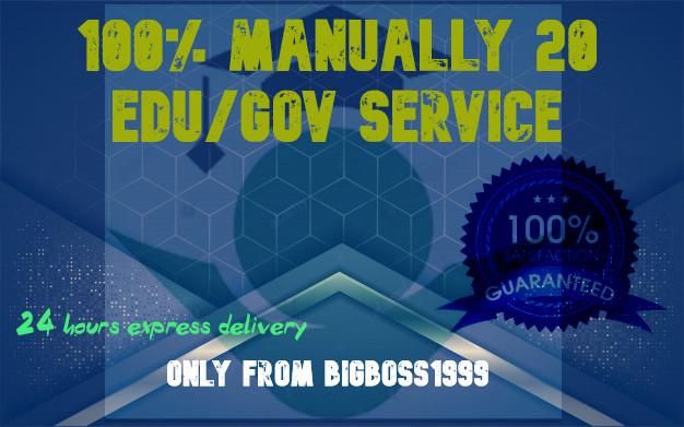 I Will Manually do 20 EDU/GOV Profile backlinks with High DA