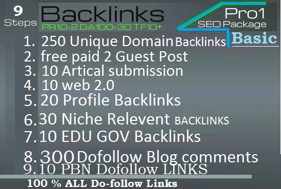  Rank your website 2020 SEO PR-10 Backlinks 