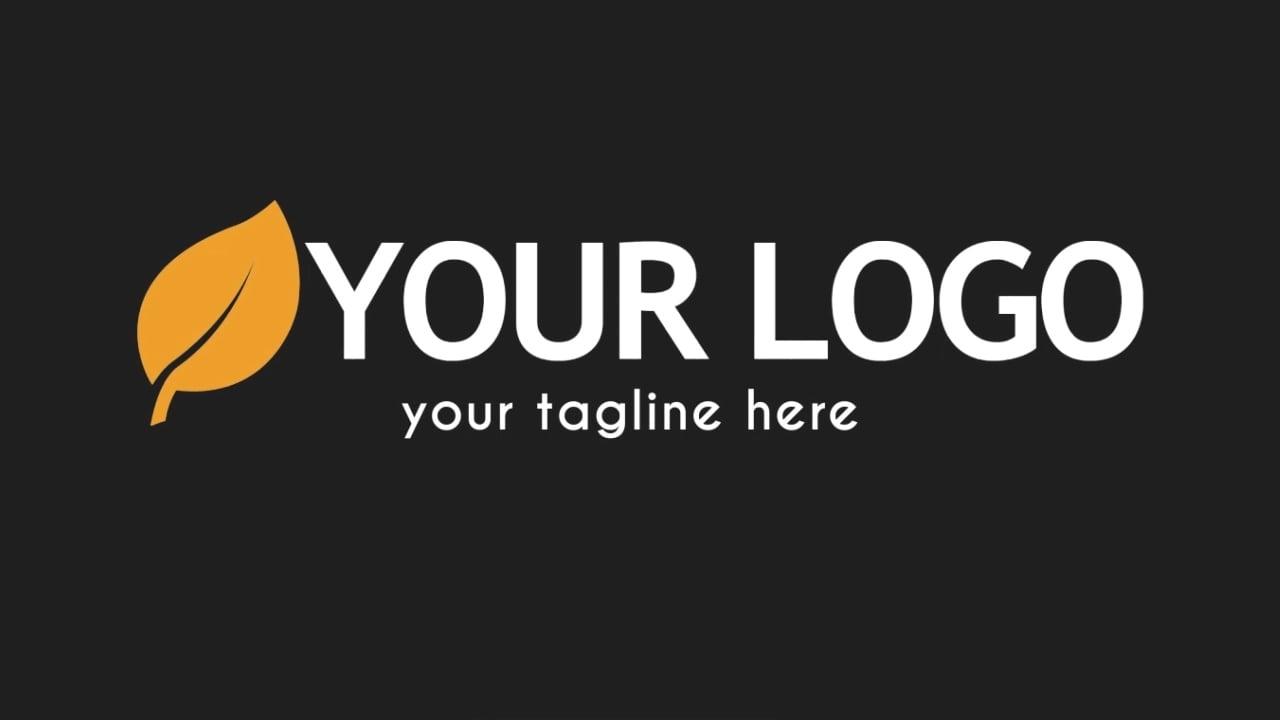 I Will Create Logo animation or youtube intro in 24 hours