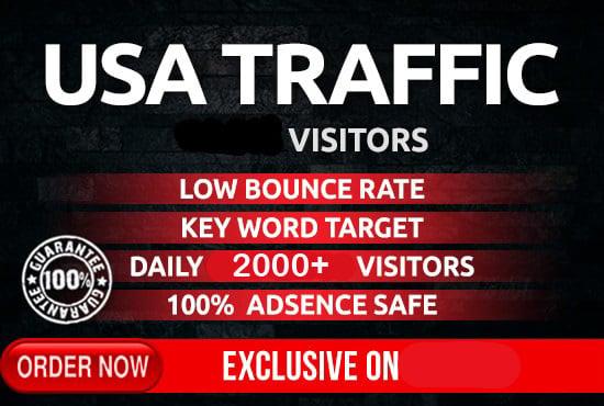I will drive safe organic targeted USA traffic