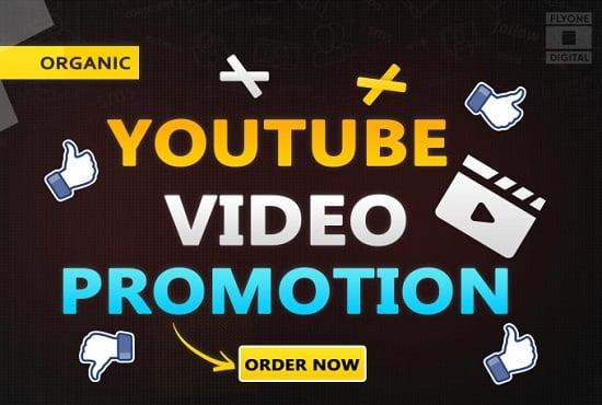 I will do youtube video promotion and grow organic traffic