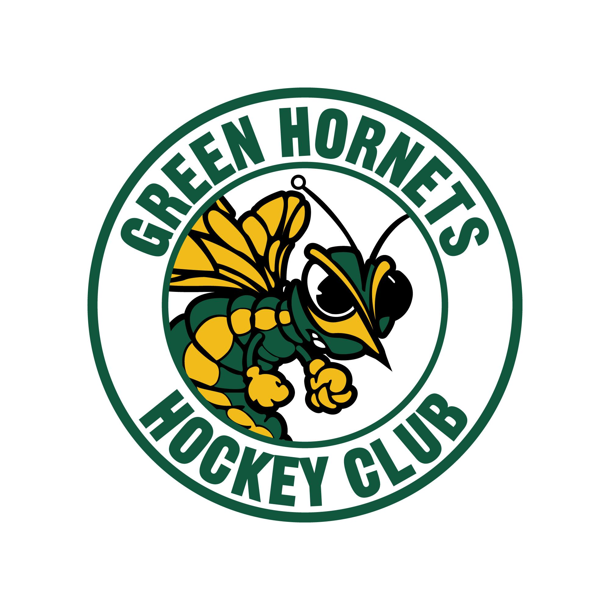 I can design a professional logo for business, company, brand