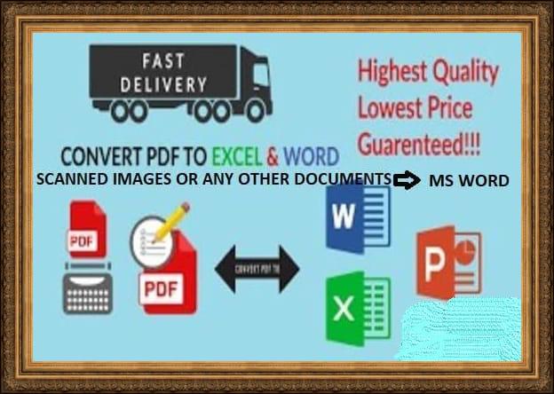 Professional typing CONVERT PDF TO WORDS, EXCEL AND MORE