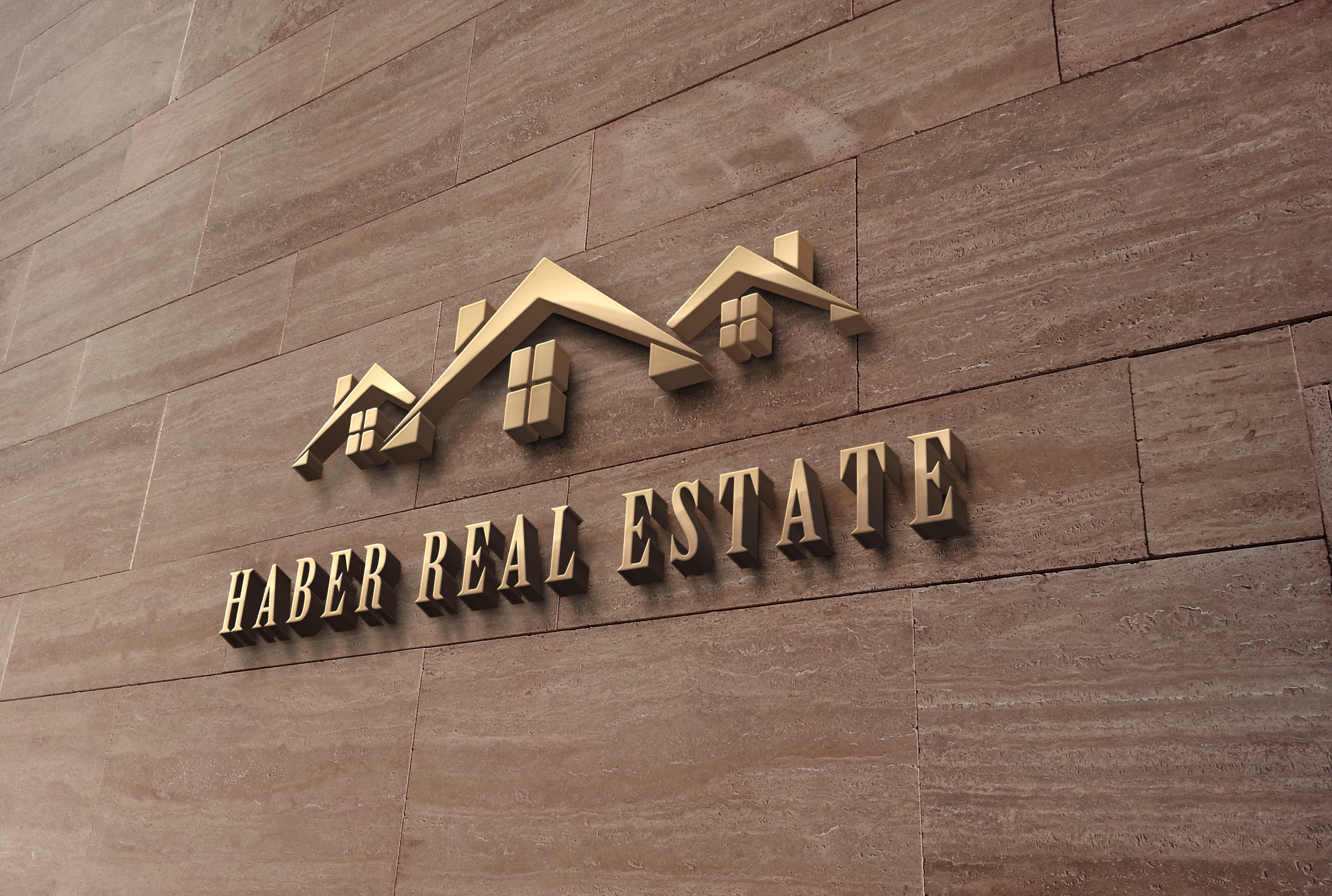 i will design minimalist or versatile and business logo design