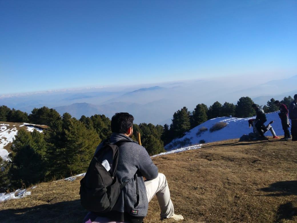 Research article, paper and essay