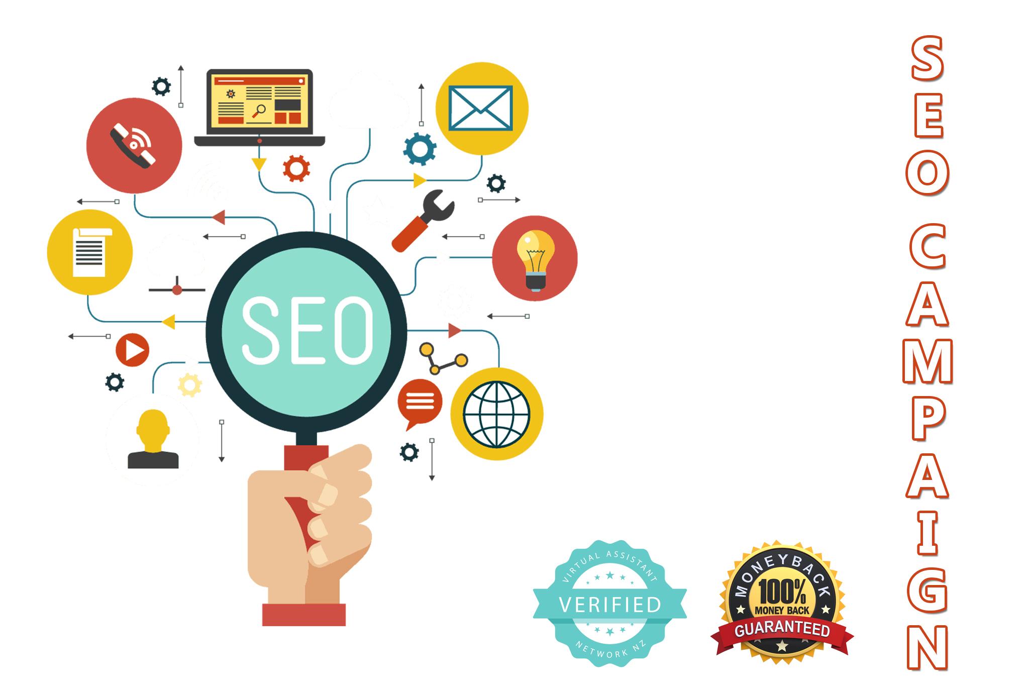 I Will do Full Monthly SEnuke Campaign