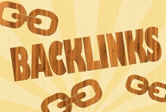 I will provide 100 blog comment manually