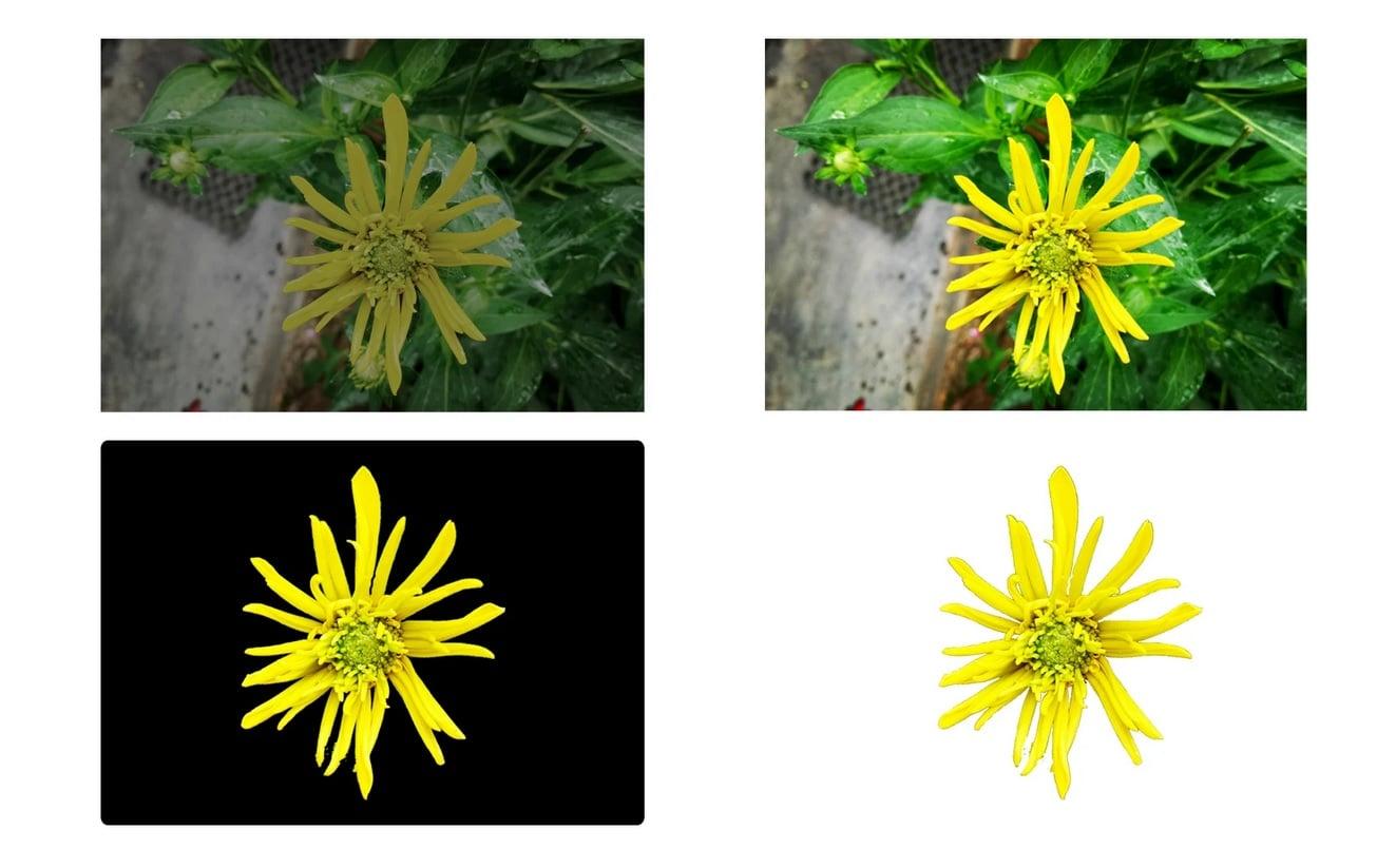 I will do photoshop editing within 24 hours