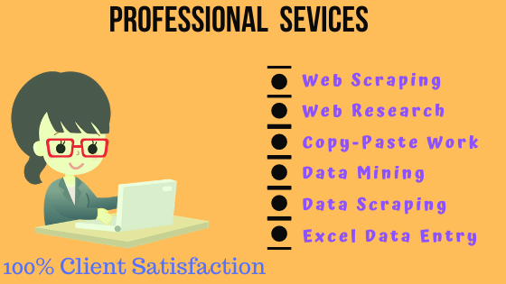 I will do data entry, copy paste, web research services