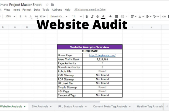 Check your website optimization for Google search engine. Website Audit
