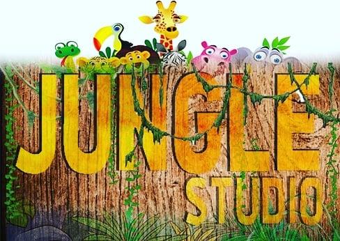 I will Design Professional Logo in 2 hour 