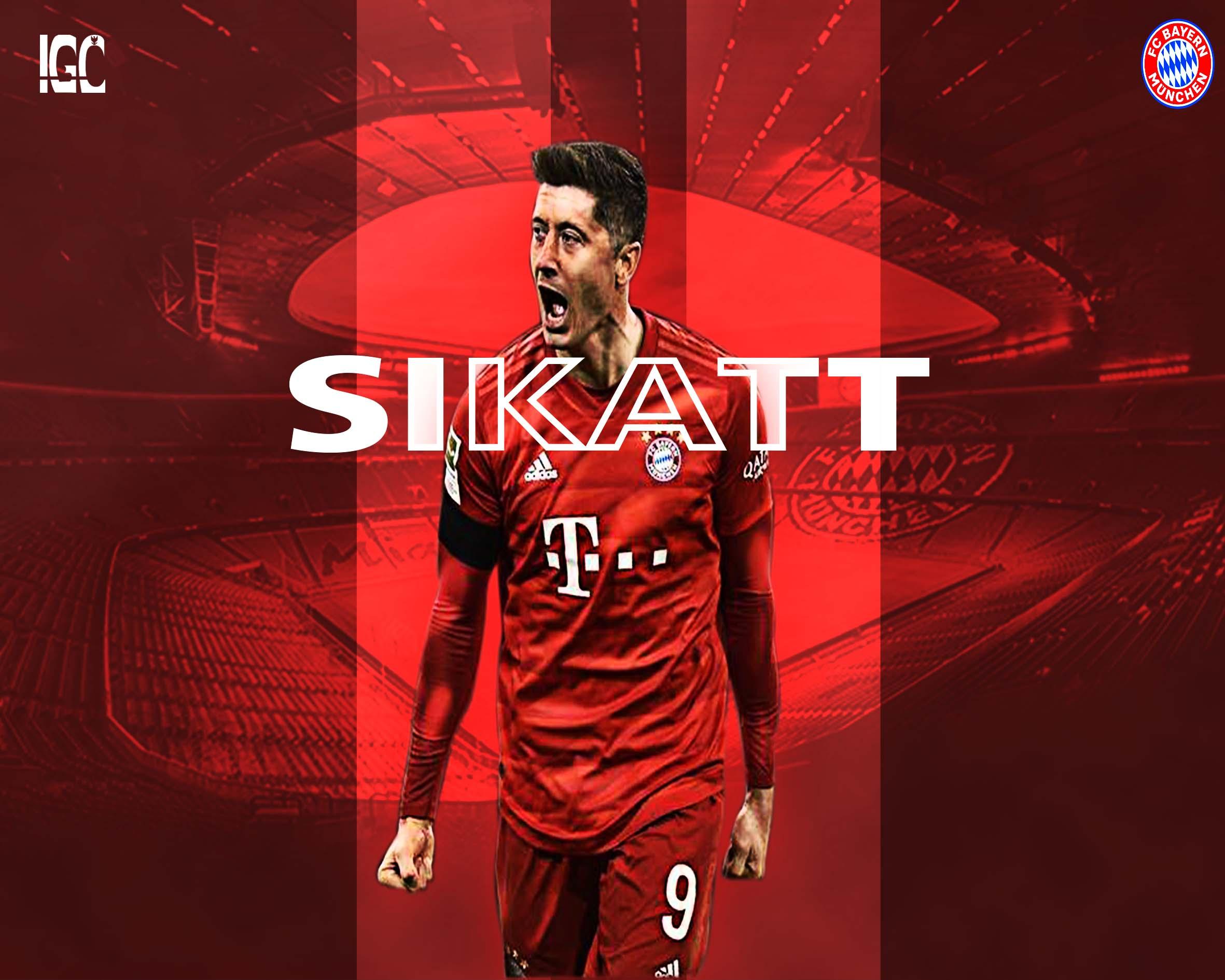 photo editing, retouch, social media, and vector