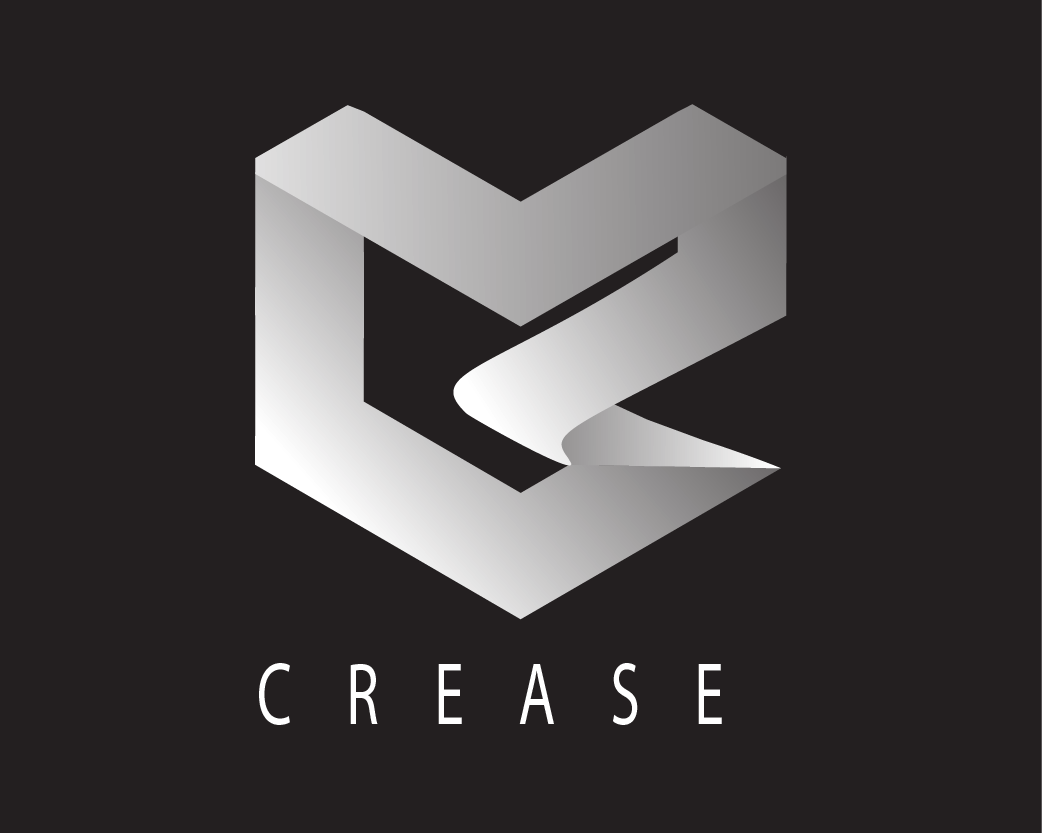 I will do top logo design in 24 hours for you