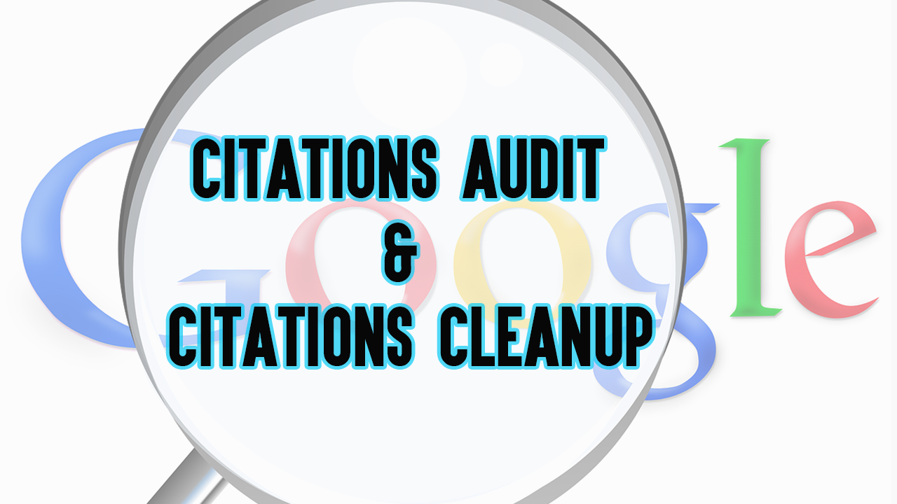 I will Make Citations Audit and Remove Duplicate Citations