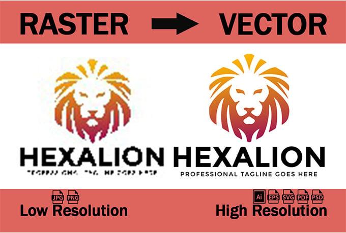 I will vector tracing, vectorise logo or convert png jpeg to vector 