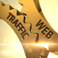 10,000 Genuine and real human traffic to your website. 