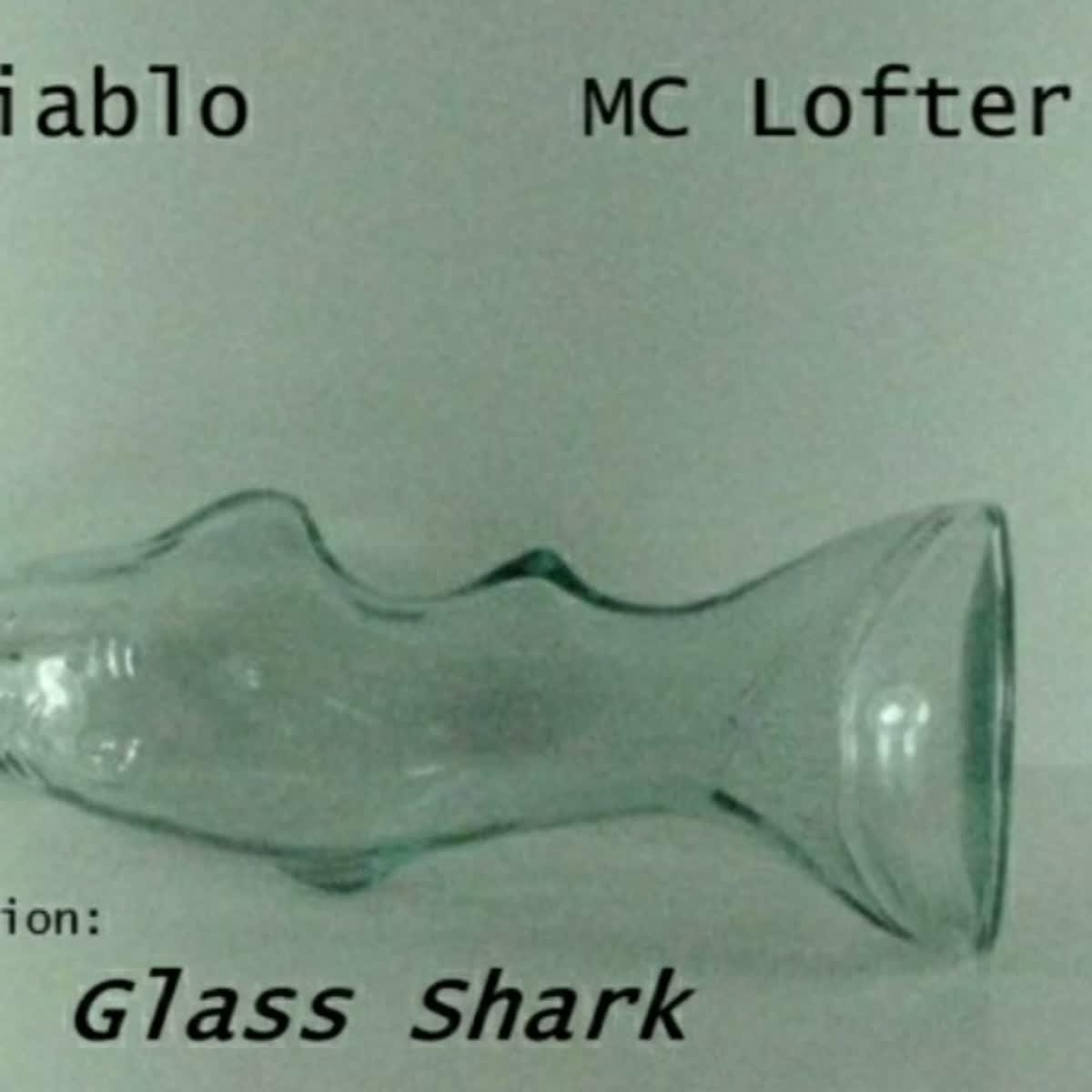 I Will Write And Rap In Any Style You Need For Cheap