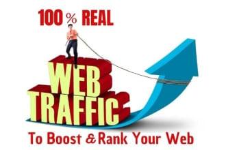 10,000 Adsense safe organic web traffic