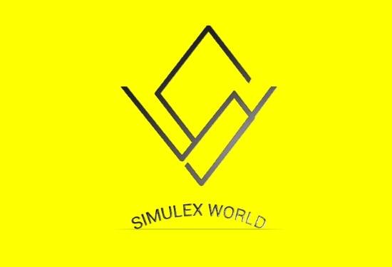 I will create 2 business minimalist logo in 24 hours