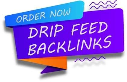 I Will Do 10 Days Daily Drip Feed 10 Backlinks For Daily Update