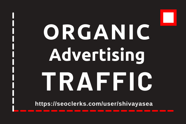 Let's drive super professional niche targeted organic advertising web traffic
