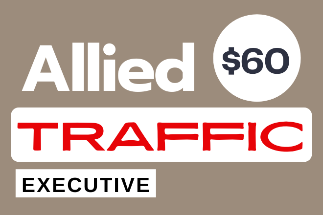 Allied 2,000 real potential niche targeted web traffic service