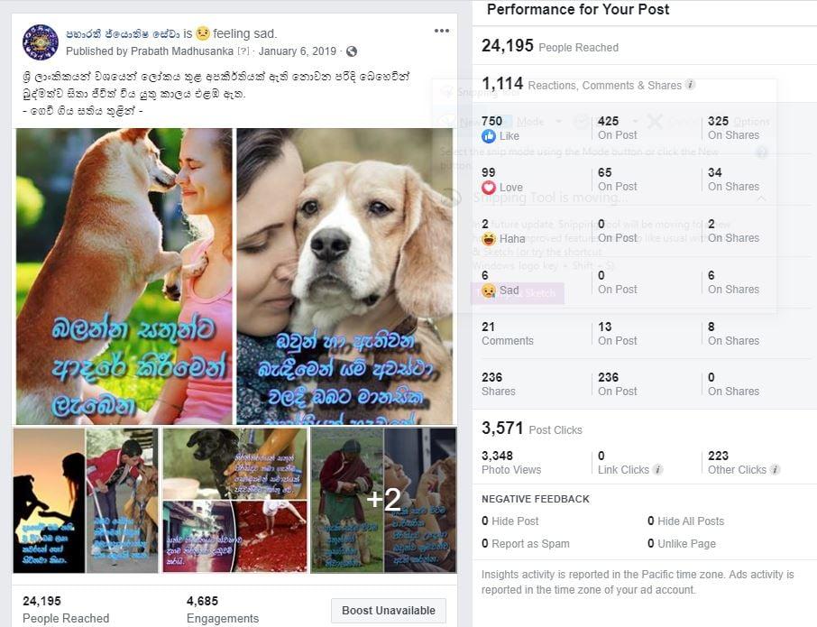 Create Full completed online Store with content & focusing on SEO