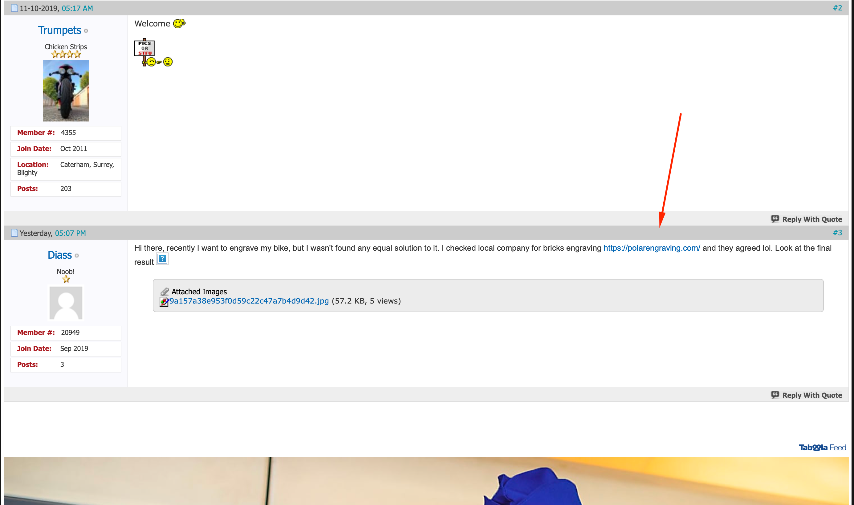 I will do 10 manual forum posts for your website