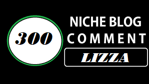 Make 300 niche relevent blog comment backlinks