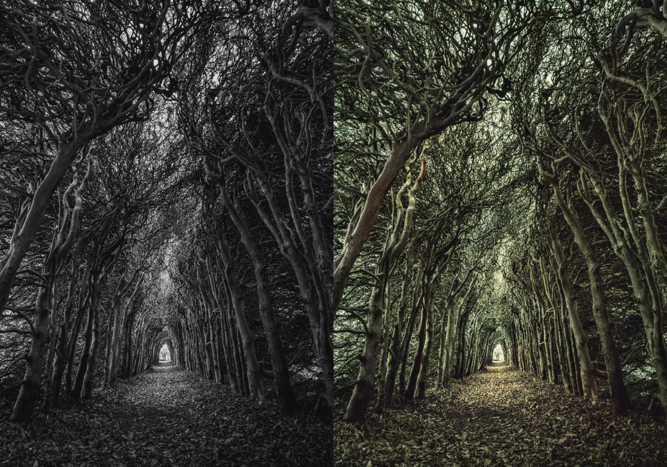 I will color your photo professionally